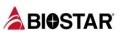 Biostar аккумуляторы