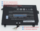 Аккумуляторы для ноутбуков sager Np8950(p950hp6) 15.2V 3500mAh